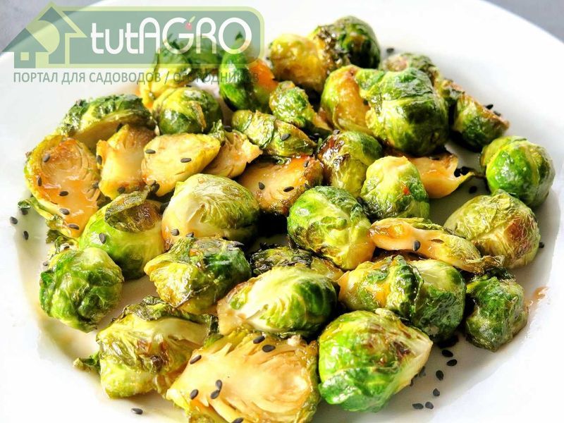 Топинамбур с брюссельской капустой - AGROzen