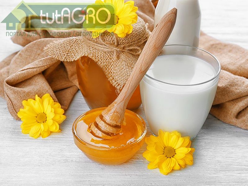 Напиток здоровья - AGROzen