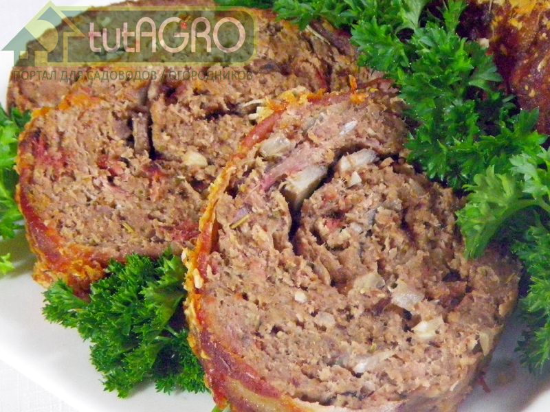 Мясной рулет с гарниром - AGROzen