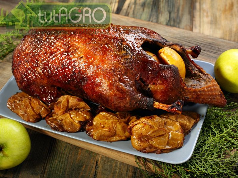 Утка в чесночно-лимонном соусе - AGROzen