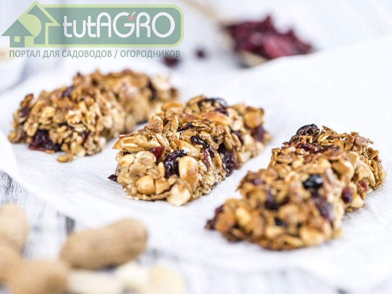 Гранола - AGROzen
