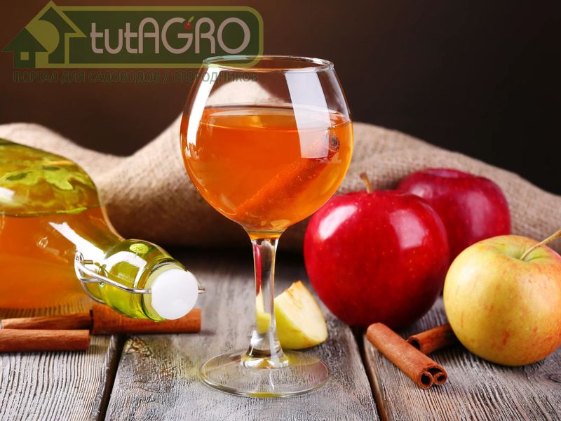 Целебное игристое - AGROzen