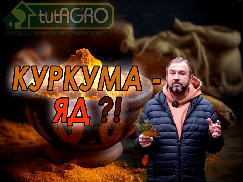 В этом видео Иван Русских расскажет, какой самый надежный способ избежать отравления куркумой! Опасная куркума - это реально?