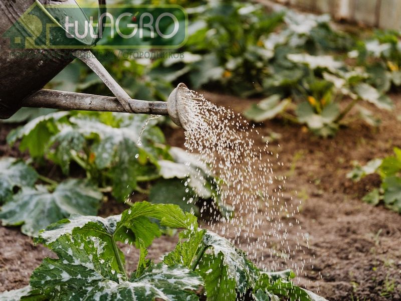 Хелаты своими руками - AGROzen