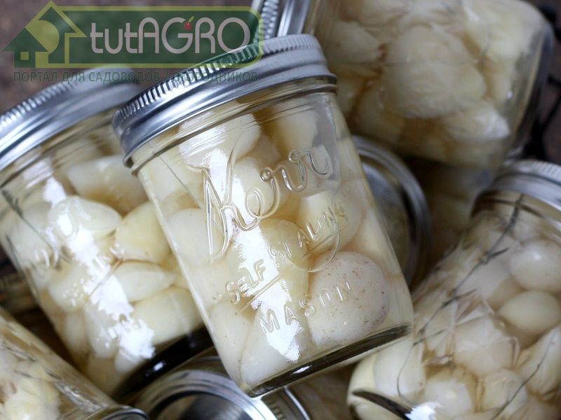 Здоровые зубки законсервировать с маслом или замариновать - AGROzen