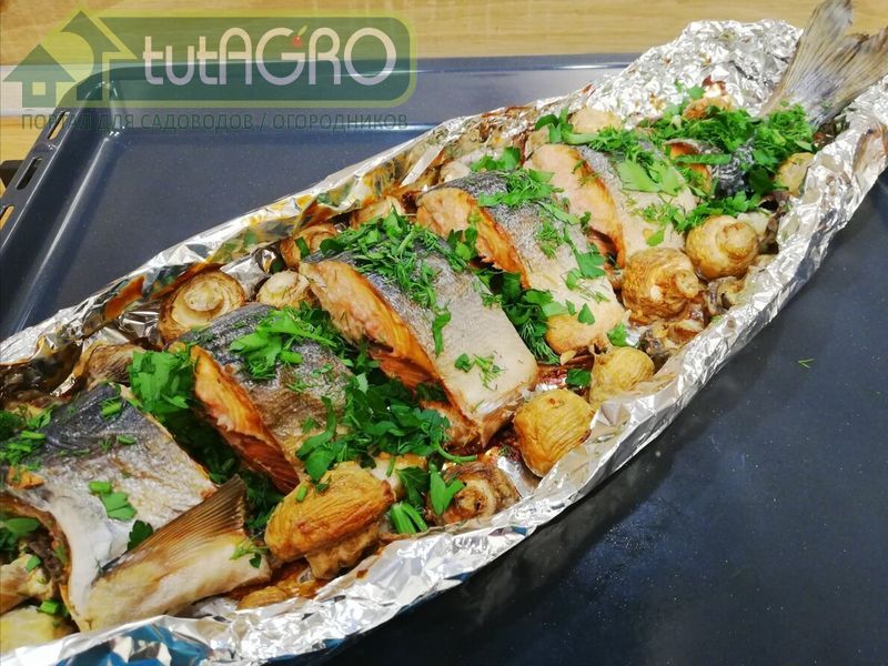 Рыба, запеченная с шампиньонами - AGROzen