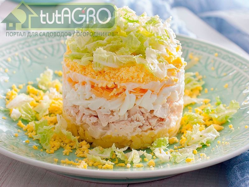 Салат «Нежный» - AGROzen