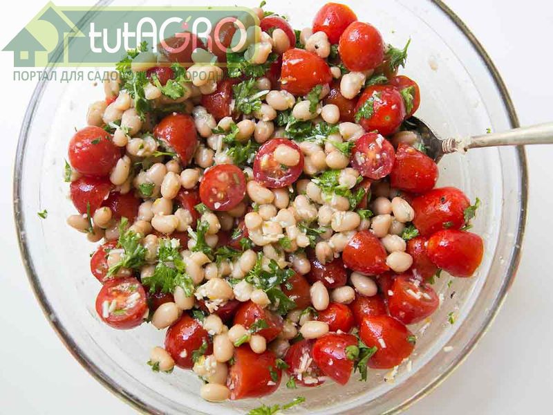 Салат с белой фасолью и вялеными помидорами - AGROzen