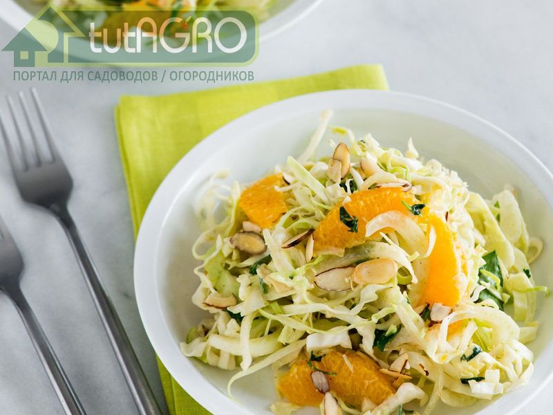 Салат капустный с апельсинами - AGROzen