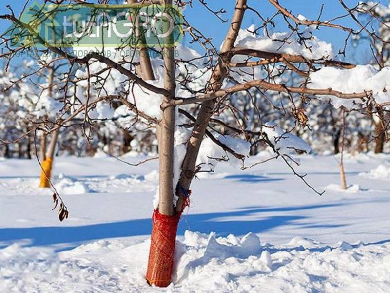 Защита молодого сада - AGROzen