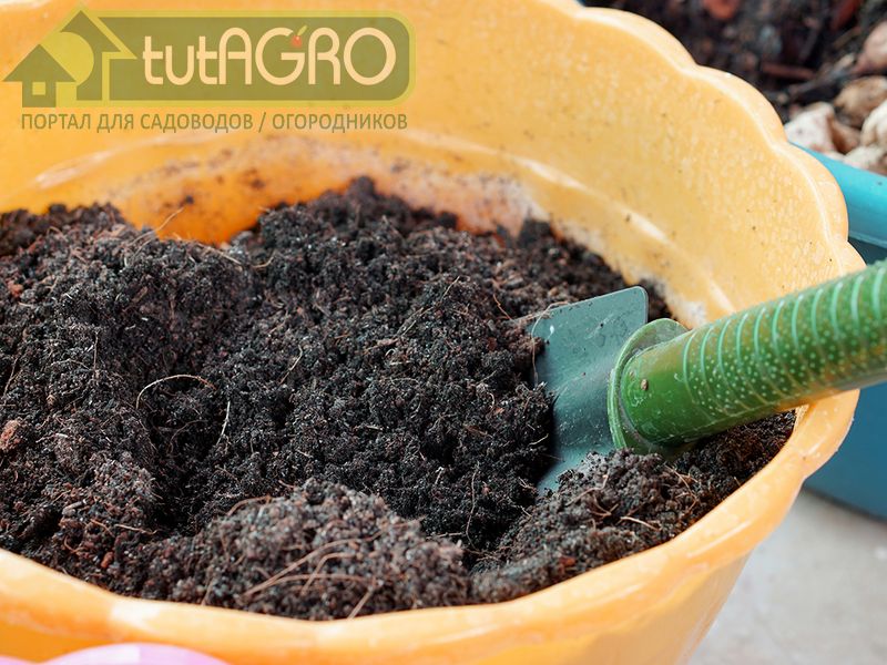 Способы обеззараживания - AGROzen