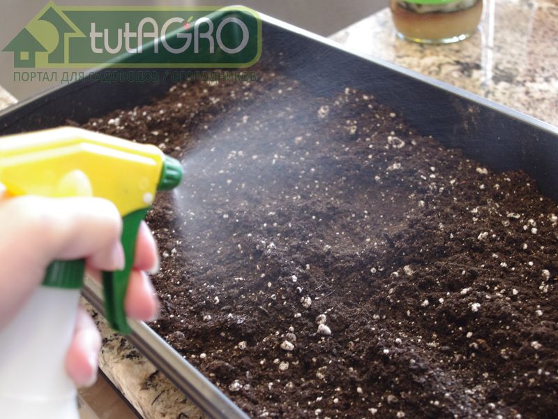 А нужно ли обеззараживать компост? - AGROzen