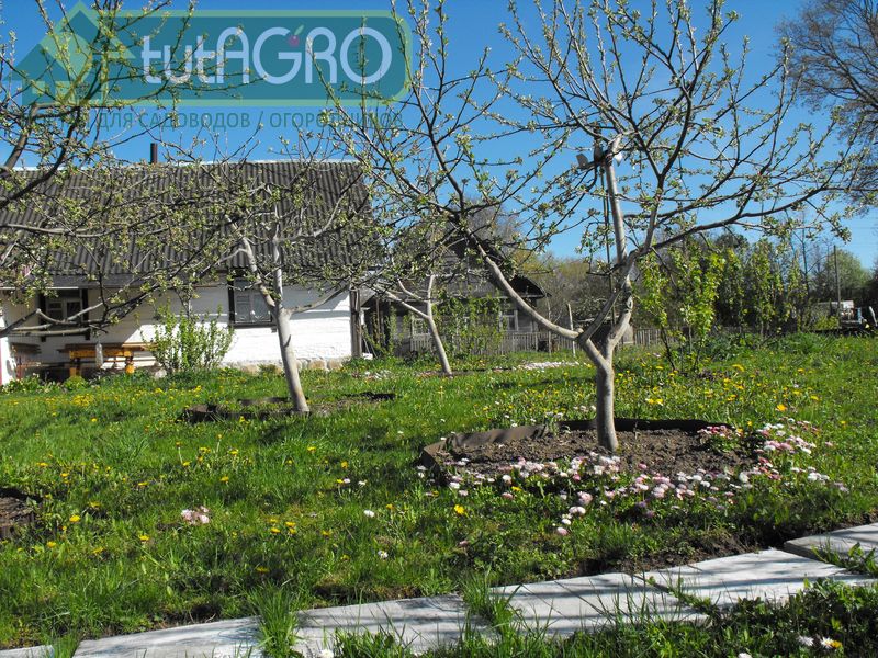 Автомобилисты знают, что срок годности автомобильной аптечки не больше двух лет - AGROzen