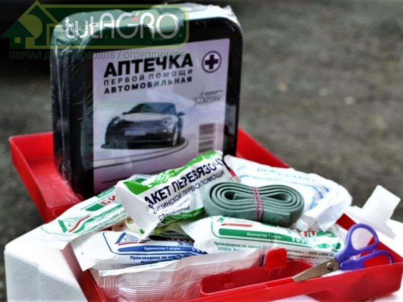 Автомобильная аптечка: из отходов - в доходы. Найдем применение всему! - AGROzen