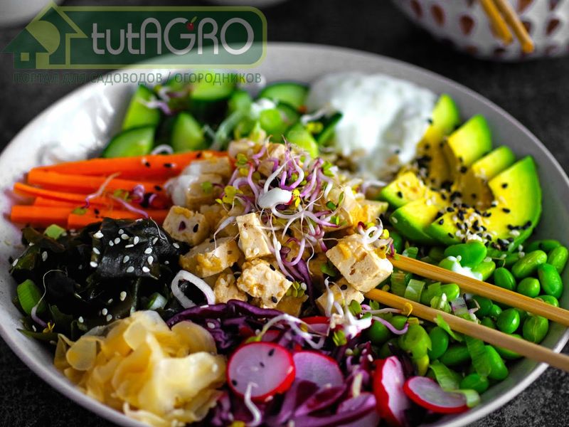 Салат Чаша Будды - AGROzen