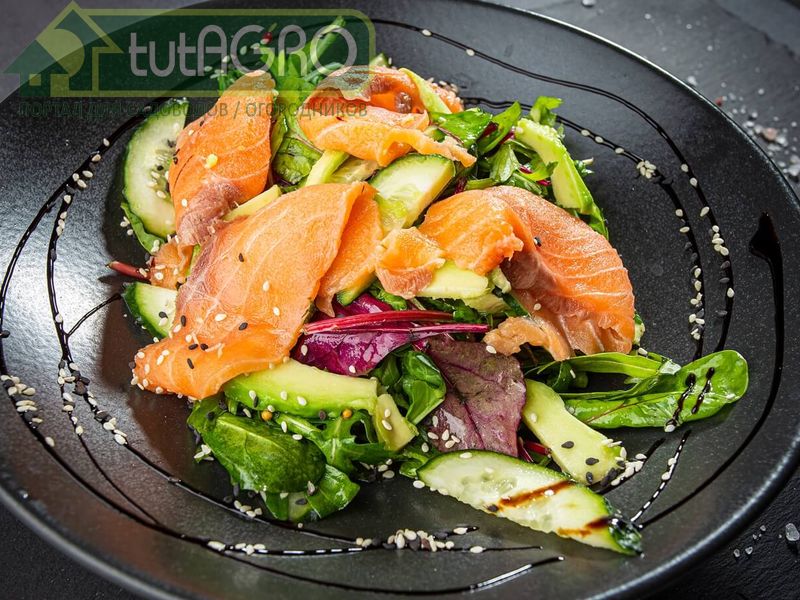 Салат Легкий - AGROzen