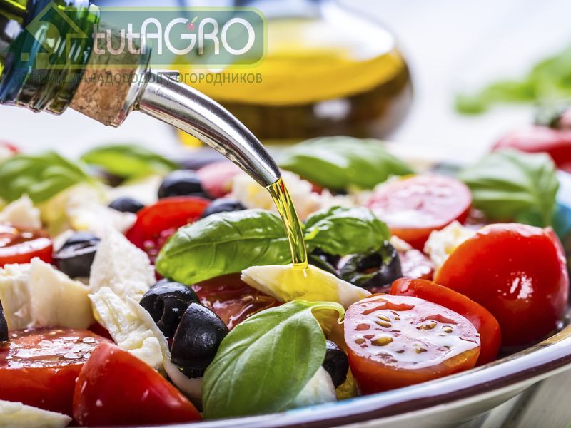 Вкусные и полезные салаты - AGROzen