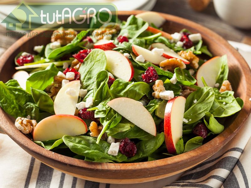 Салат Витаминный - AGROzen