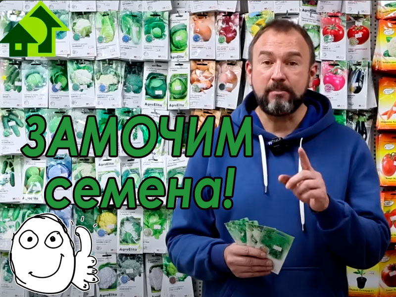 Деревенский метод замачивания семян
