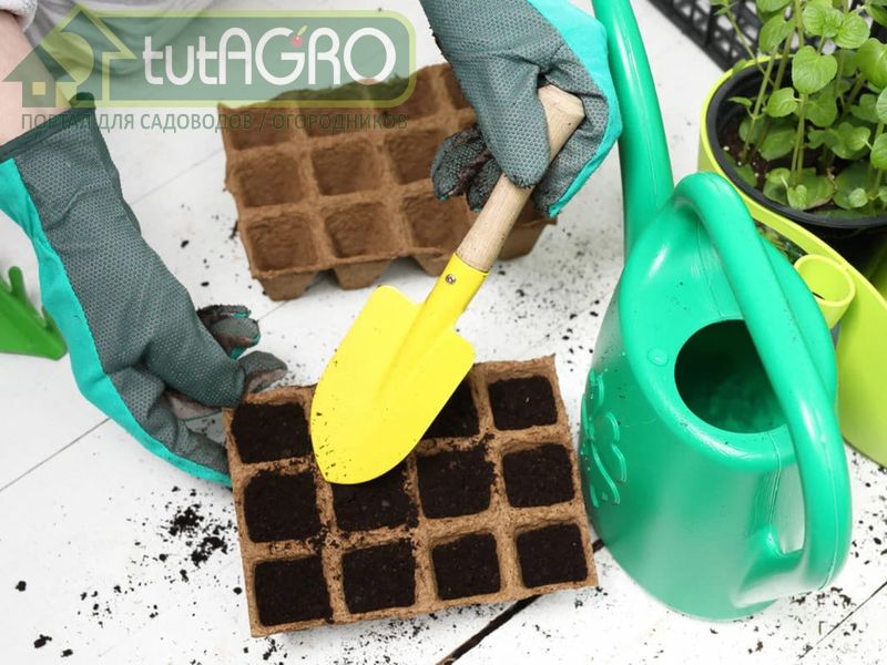 Сахар может вызвать своеобразный дисбактериоз почвы - AGROzen