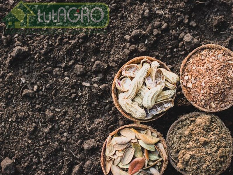 Ценный «мусор» - AGROzen