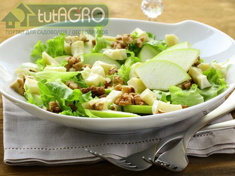 Салат «Парижский» - AGROzen