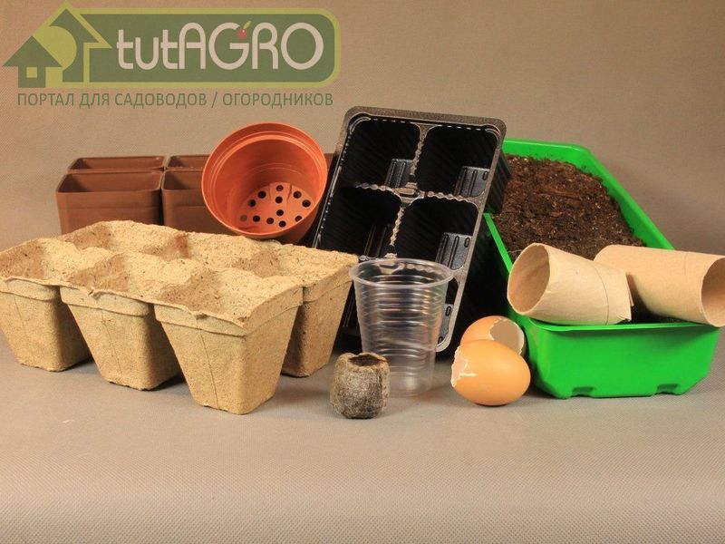 Размер имеет значение - AGROzen