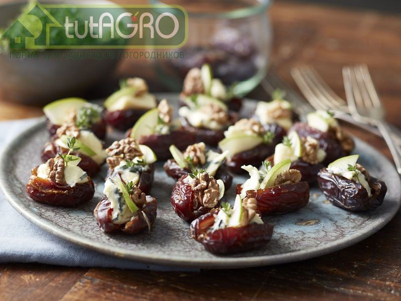 Десерт восточный - AGROzen