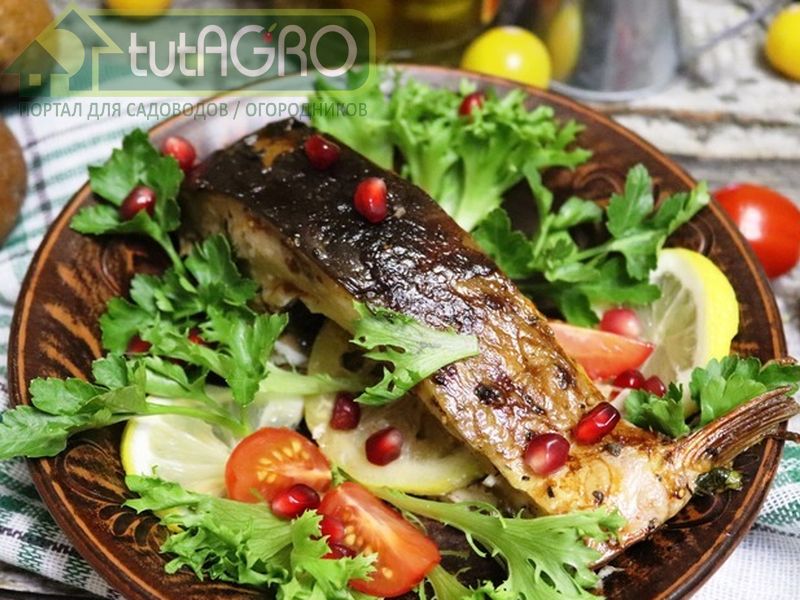 К февральским праздникам готовим вкусно - AGROzen