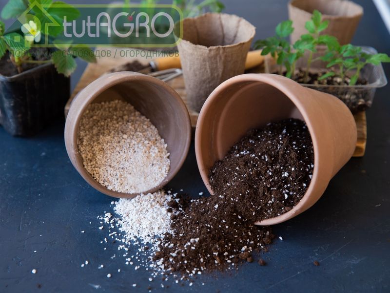 Уменьшить количество удобрений в значительной степени вполне возможно - AGROzen