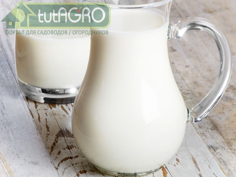 Молоко для рассады - AGROzen