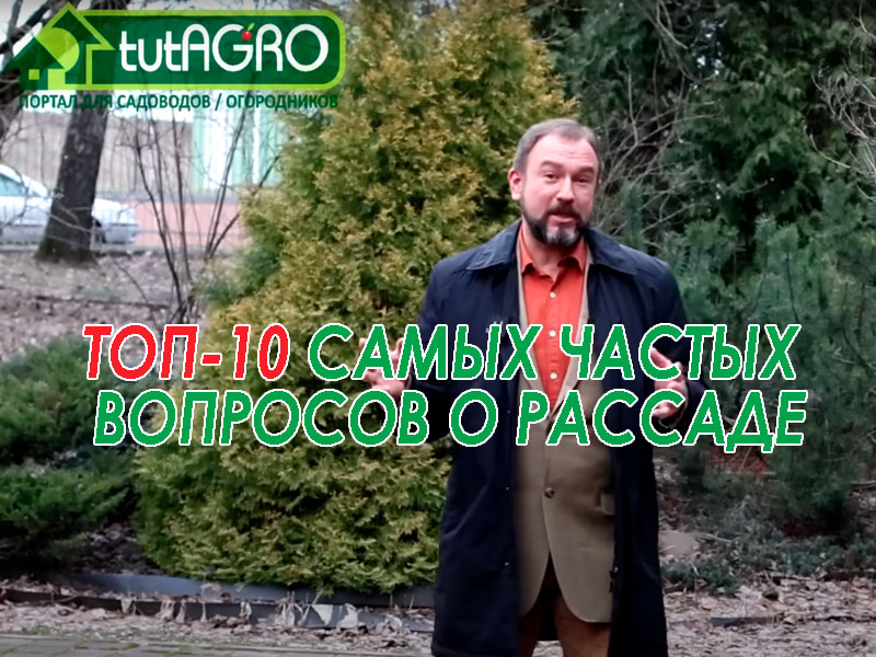 Какие ошибки делают большинство начинающих огородников при выращивании рассады? Об этом и другом интересном - это видео. ТОП-10 самых частых вопросов о рассаде