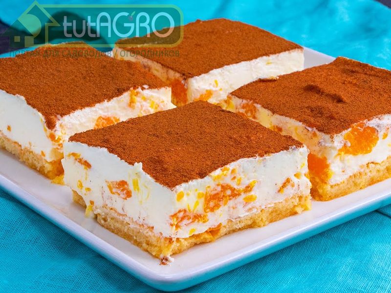 Торт Фанта - AGROzen