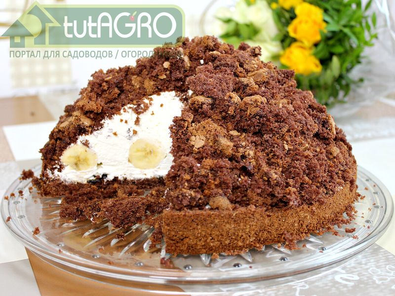 Торт Норка крота - AGROzen