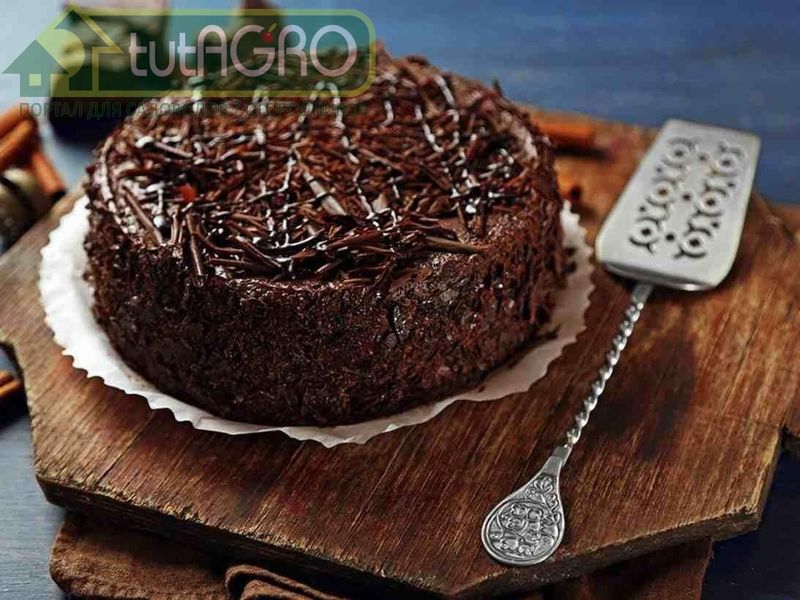 Шоколадный торт - AGROzen