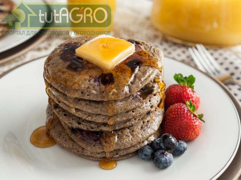 Гречнево-медовые оладьи - AGROzen