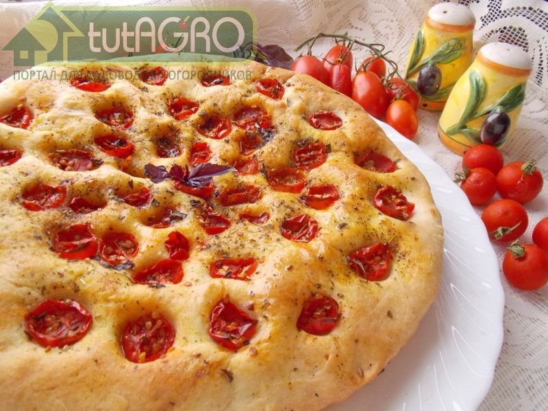 Картофельный итальянский хлеб - AGROzen