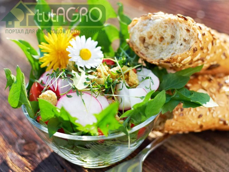 Весеннее настроение на кухне - AGROzen