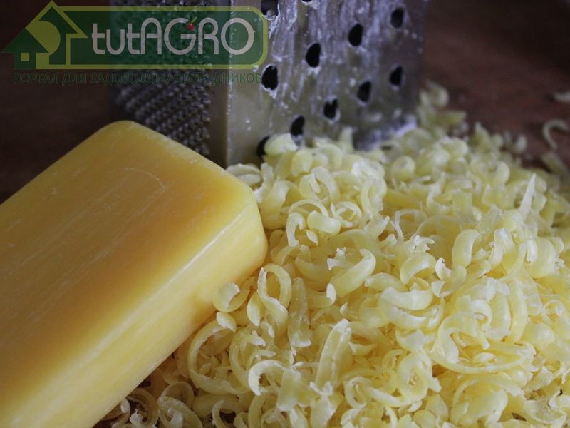 Рецепт Ивана Русских - AGROzen