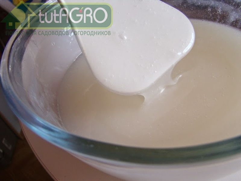 Применять раствор можно до наступления фазы зеленого конуса - AGROzen