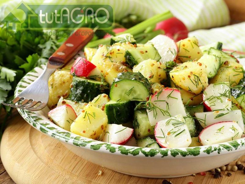 Картофельный салат - AGROzen