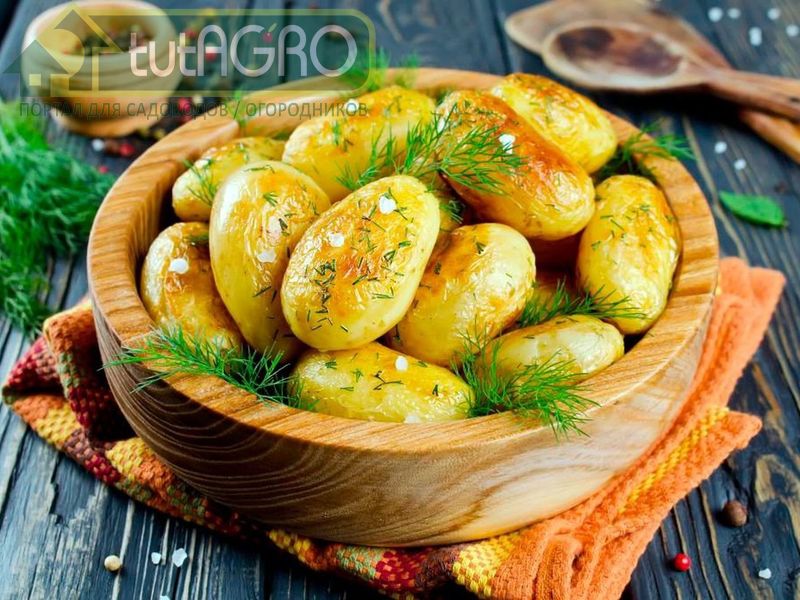 Постные рецепты - AGROzen