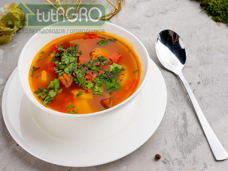 Овощной суп - AGROzen