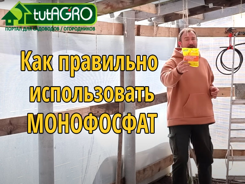 Монофосфат калия - популярный источник калия и фосфора. Но многие используют это удобрение неправильно. Как правильно использовать МФК - смотрите видео.  Правила монофосфата