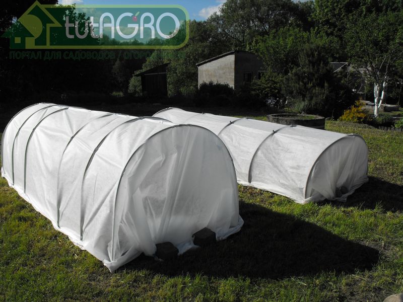 Устраивайтесь поудобнее! - AGROzen