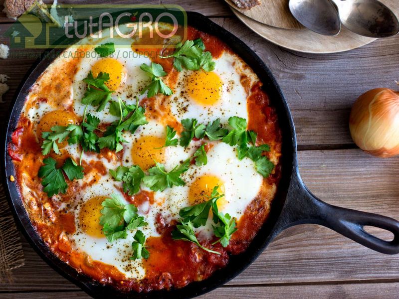 Яичница по-болгарски - AGROzen