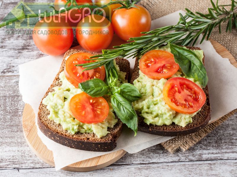 Полезный бутерброд с творогом - AGROzen