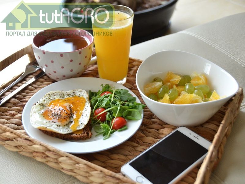 Завтраки для бодрости - AGROzen