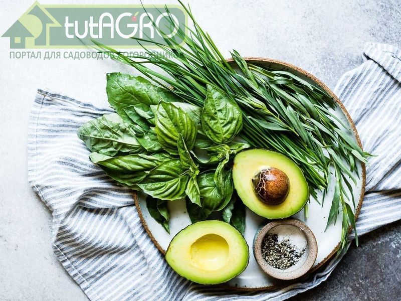 Зеленая кухня - AGROzen