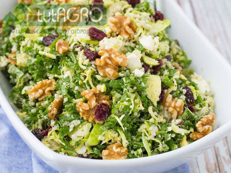 Салат Дачный - AGROzen
